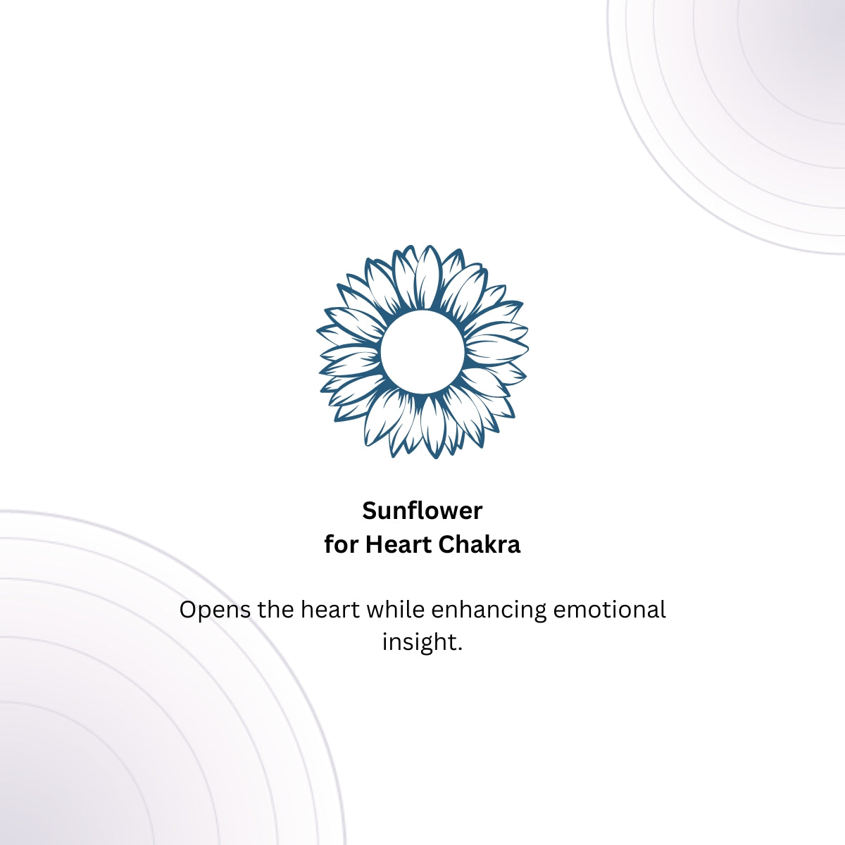 Power of Belief Coin Necklace - Good Fortune