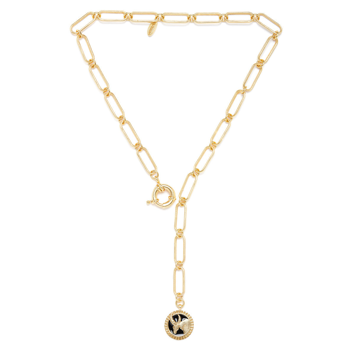 Soul of the Bull Taurus Necklace