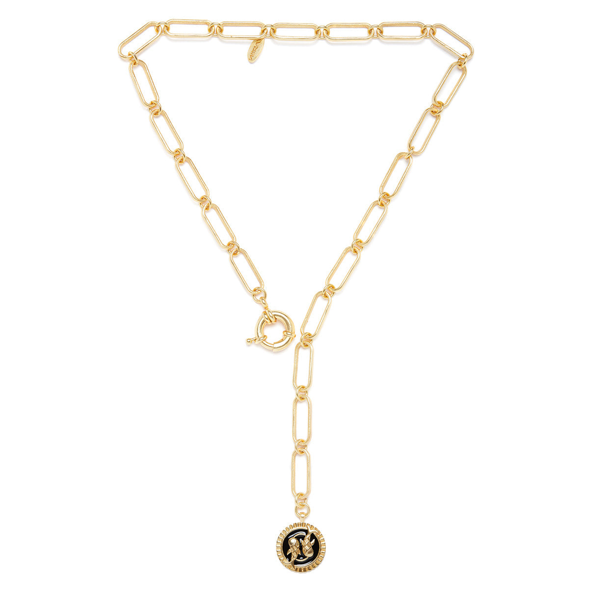 Soul of the Fish Pisces Necklace