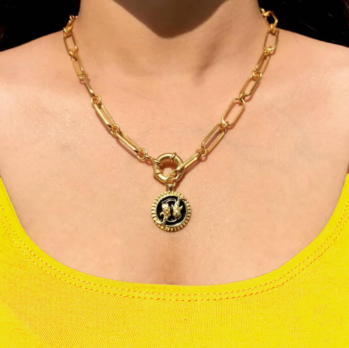 Choose Your Linked Zodiac