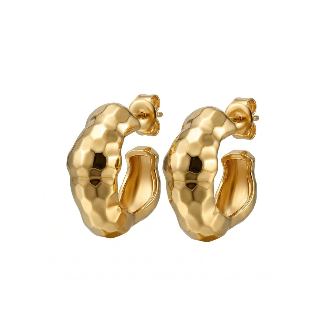 Pretty Voyage Hoop Earrings