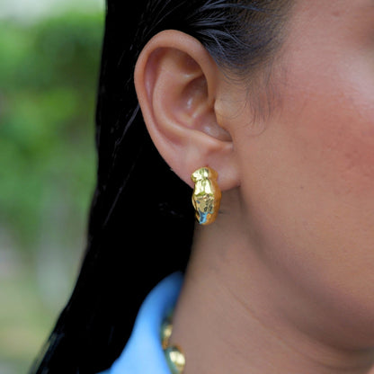 Pretty Voyage Hoop Earrings